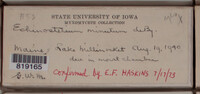 Image Associated With the Occurence